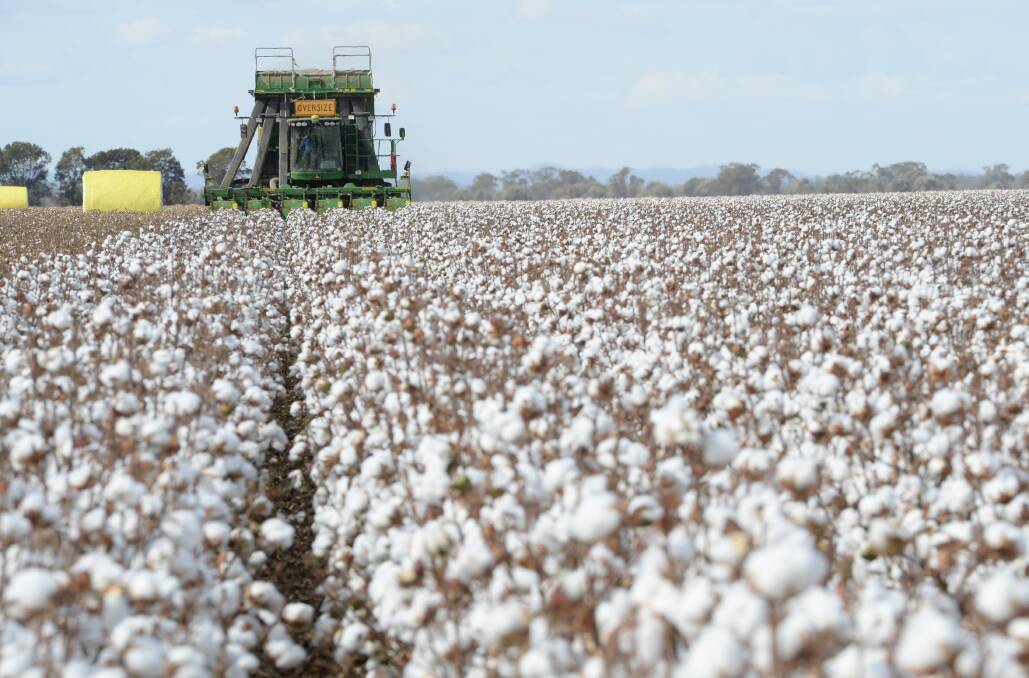 Namoi Cotton’s newly-converted shares began trading on the Australian Securities Exchange last week.