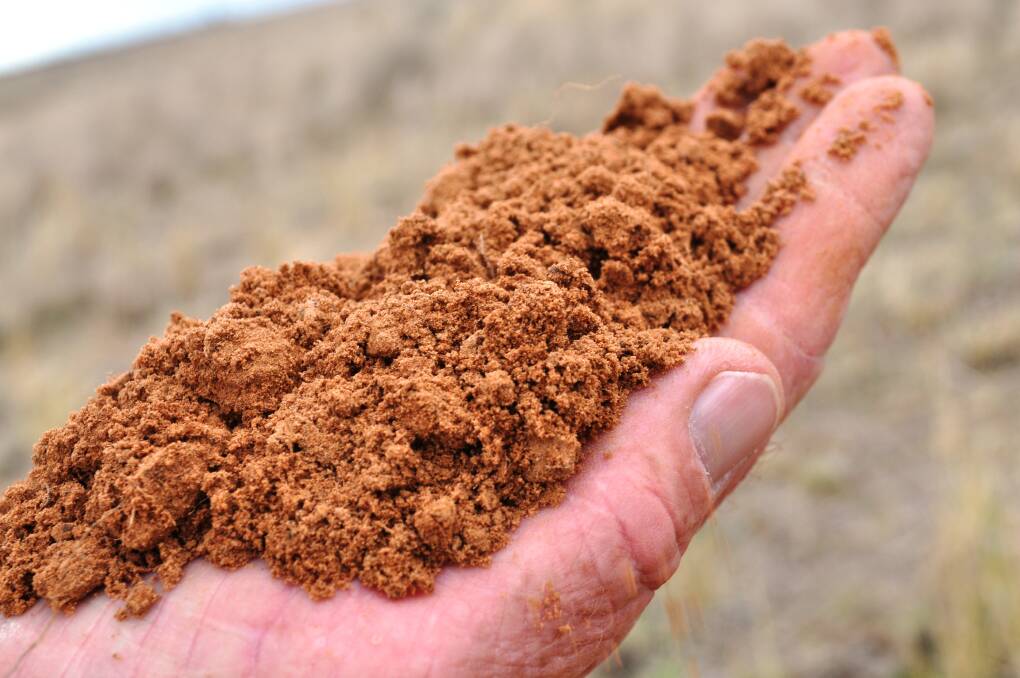 Soils to join the show judging circuit
