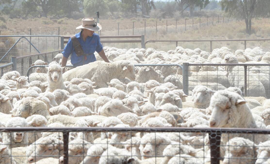 Ruralco's $16.6m swansong profit defies dry season setbacks