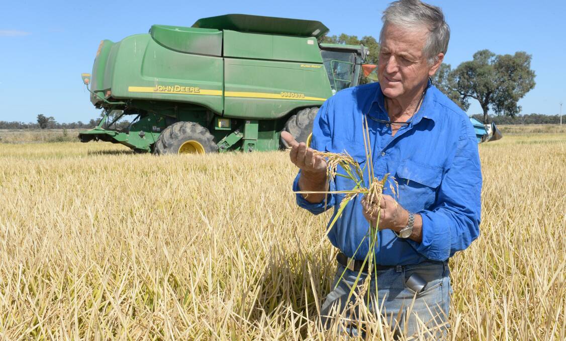 SunRice chairman Laurie Arthur whose family's Moulamein farming operation in the Murray Valley will start harvesting about 630 hectares of rice this month.