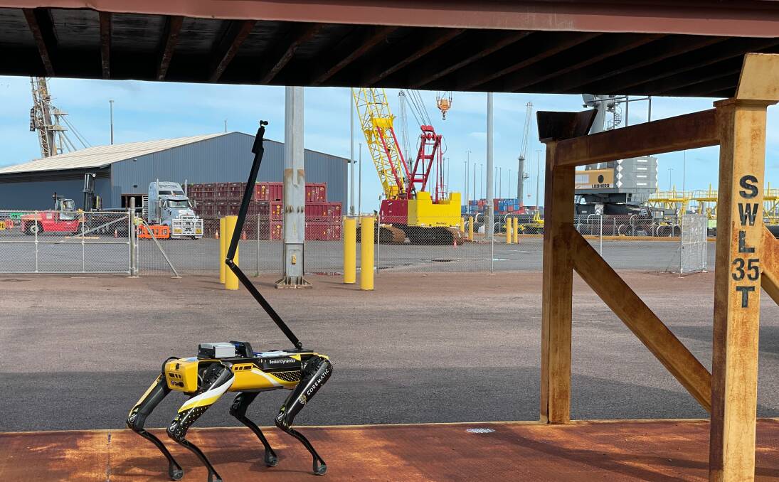 Spot the robot detector dog doing biosecurity searches at port. Photo CSIRO