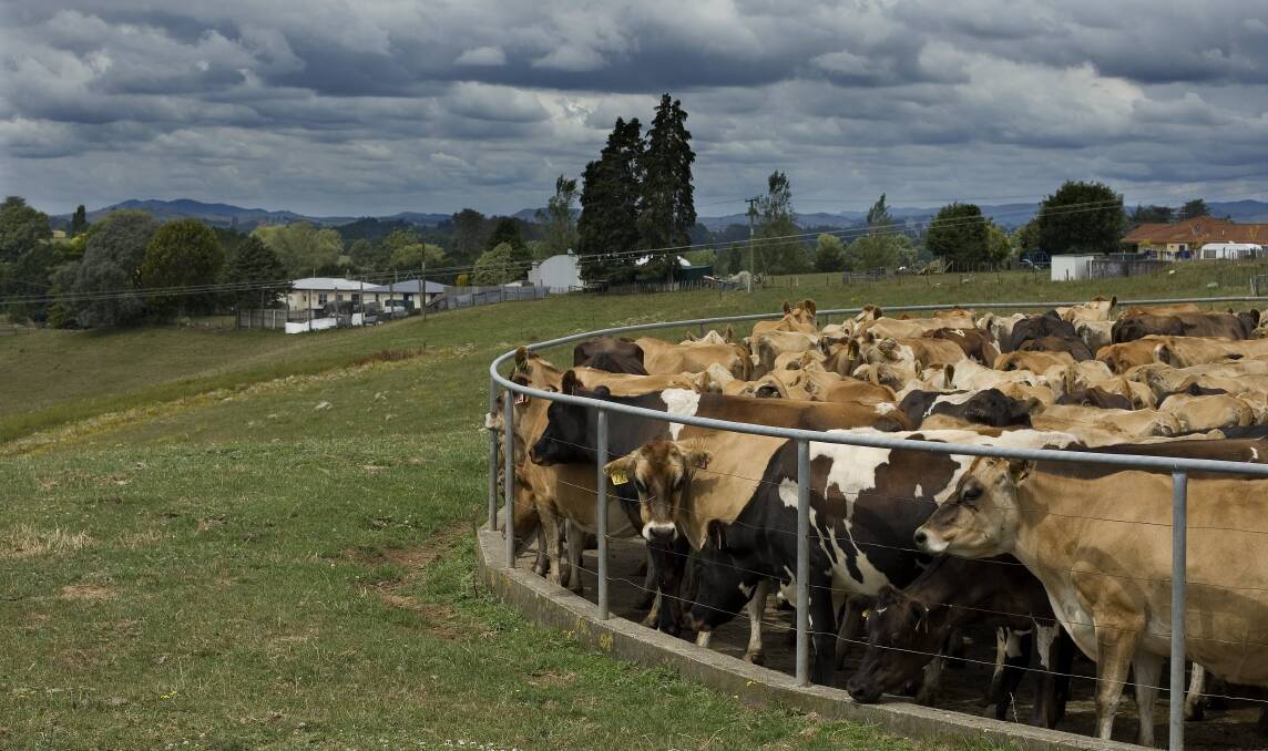 New Zealand's grass-based dairy and beef production systems and technology are making inroads into South American markets. 