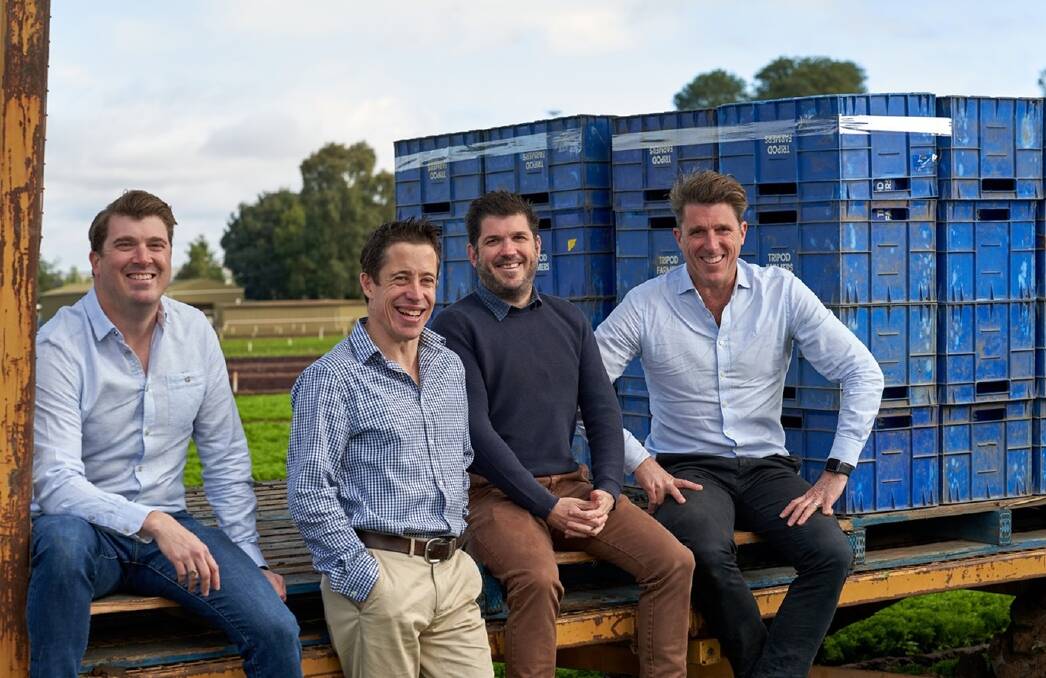 Fourth generation management in the family agribusiness, James, Cameron, Stuart and Andrew Muir. Photo supplied.