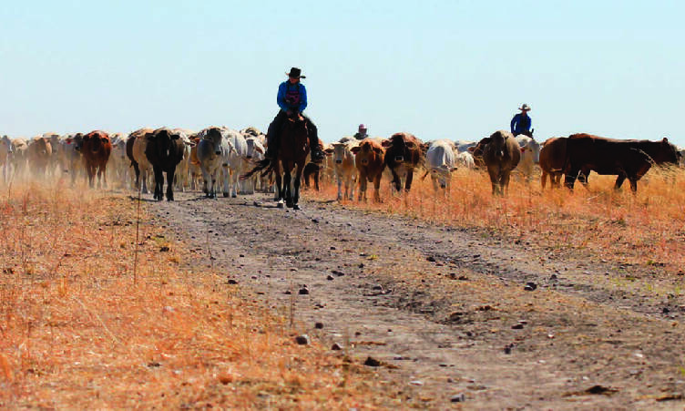 Kidman management won't  confirm the existence of any parties likely to emerge as potential counter bidders to Gina Rinehart's Australian Outback Beef, but said there was still room for another bid.