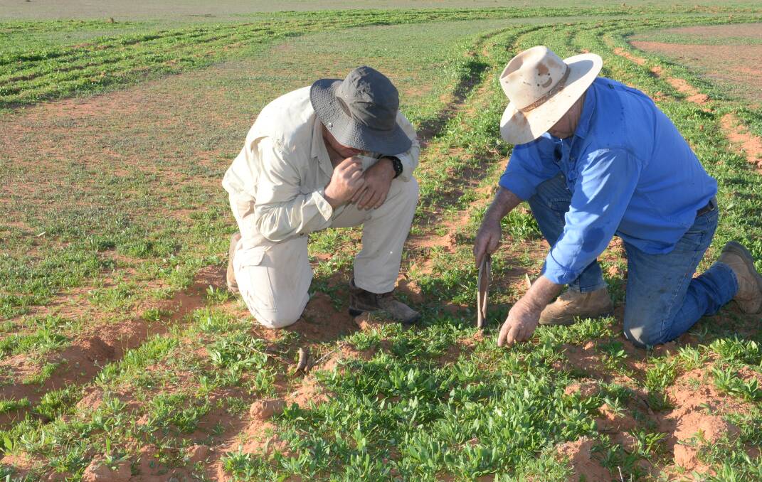 Australian Soil Management is inviting non-binding offers for up to 100 per cent of its carbon project management and research business. File photo.