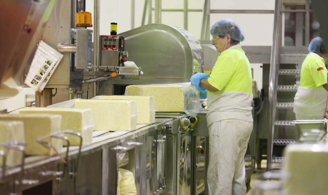 Dairy factory capacity blowout may bite industry