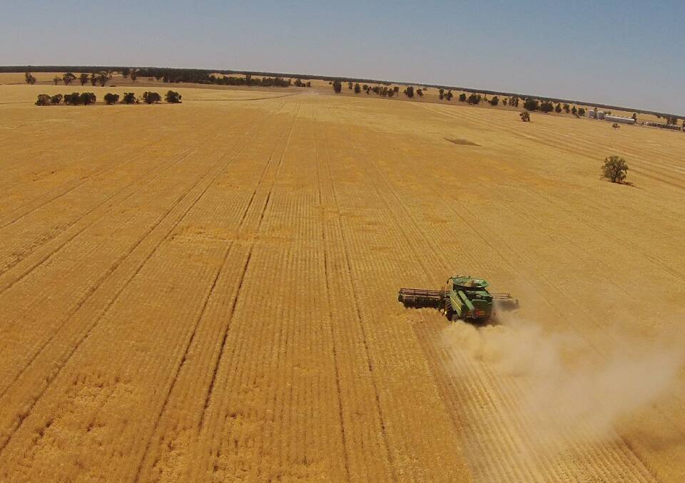 Australia's best ever ag era needs $200b investment boost says ANZ