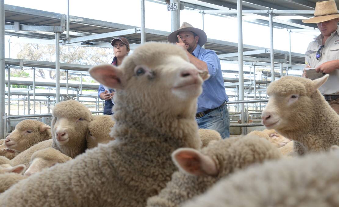 Sheep producers are the most upbeat about prospects for the year ahead thanks to  wool and lamb prices continuing to look up.