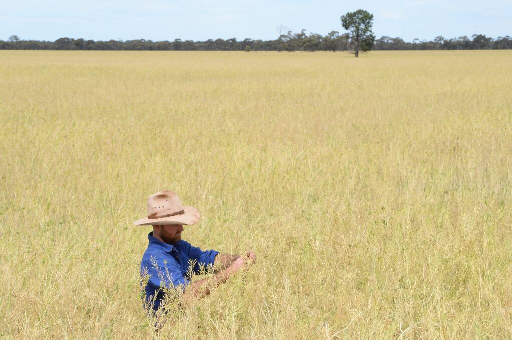 Australian farm productivity growth averages just 0.6 per cent - down from about 2.2pc 20 years ago. File photo.