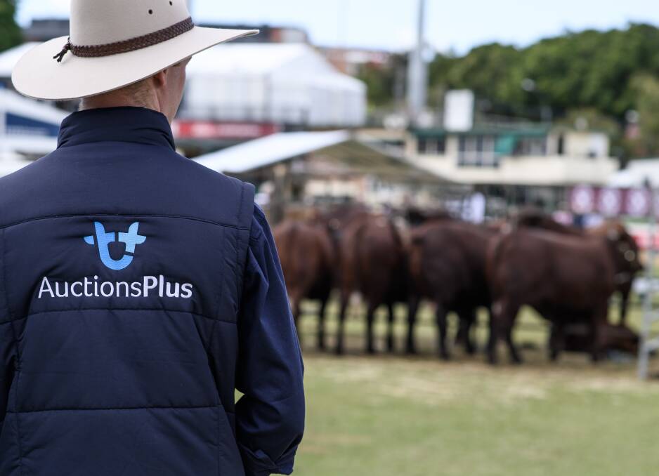 Sold! More ag data details to lure the big bidders on AuctionsPlus