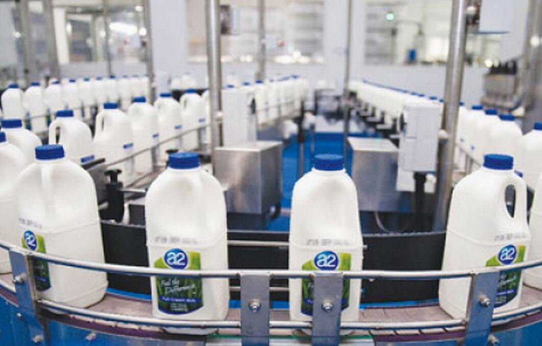 Shaken A2 Milk revamps business teams, concludes NZ purchase