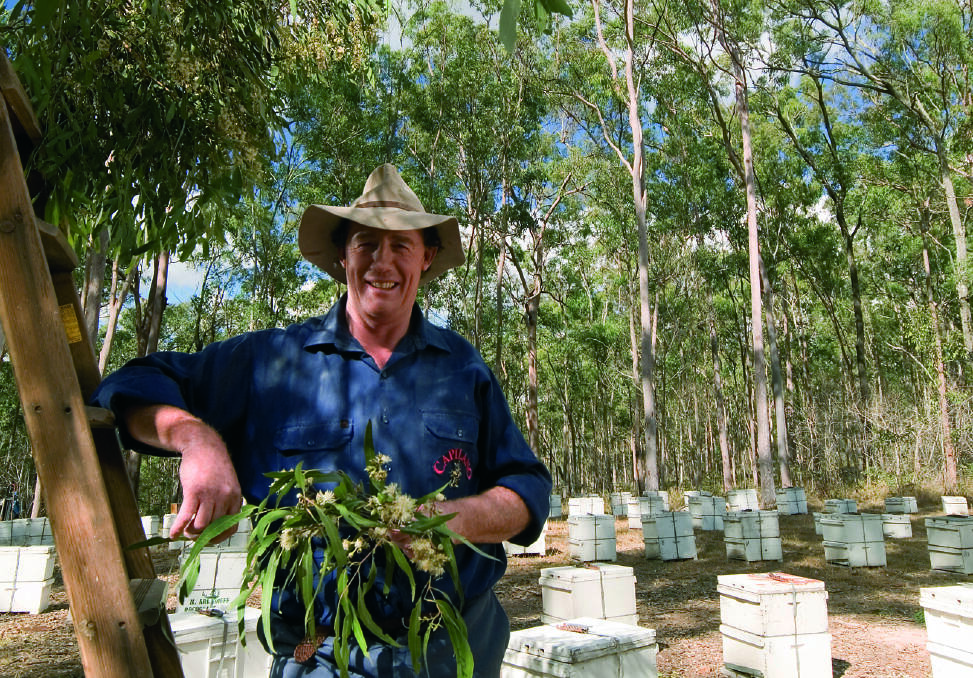 Capilano director and NSW apiarist, Phil McHugh, Loomberah.