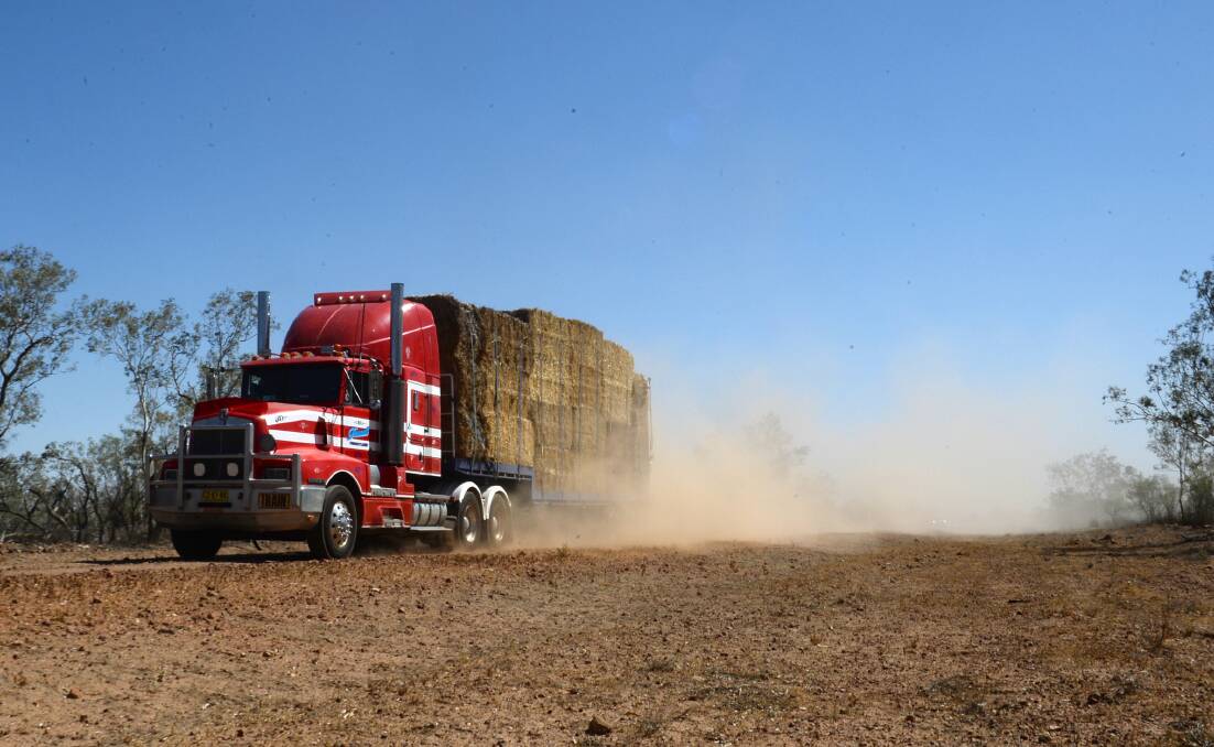 Trade some shares and help the Hay Runners' drought fodder drive