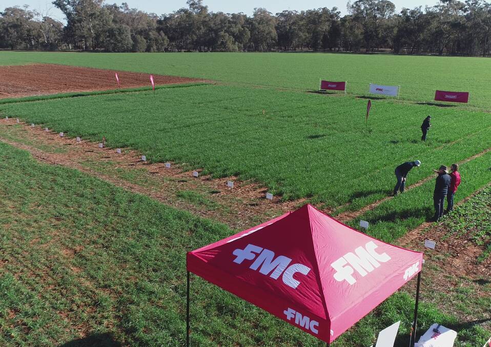 Reborn FMC has global ambitions for Aussie ag chemical business