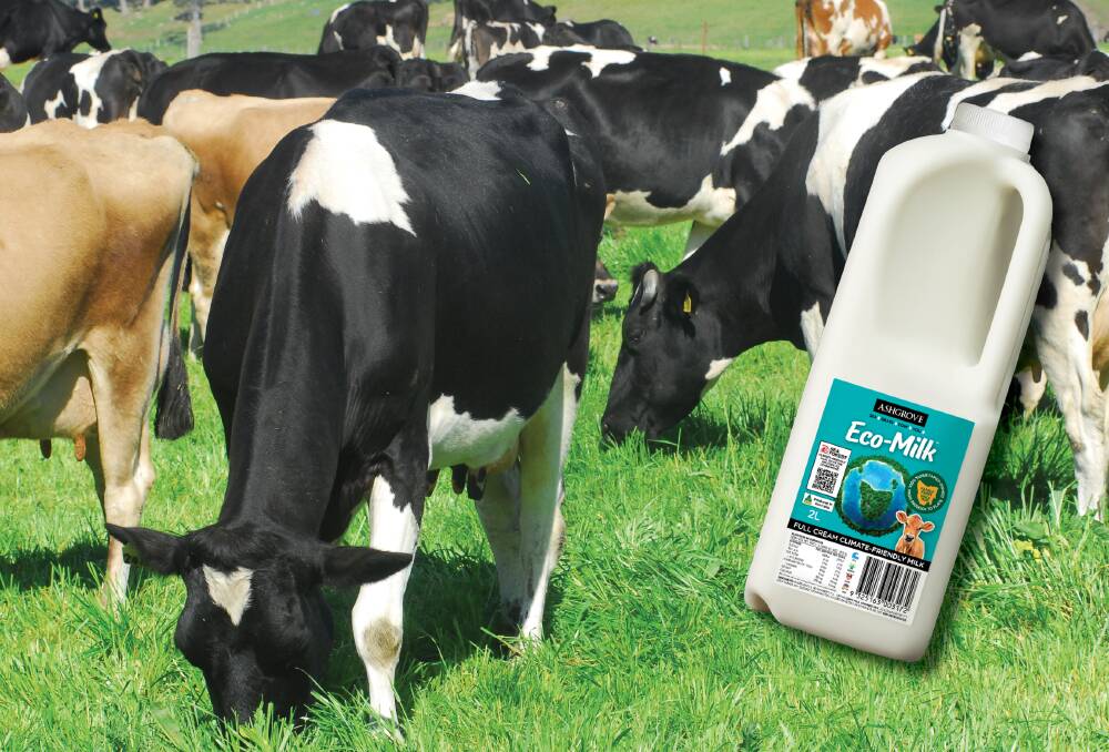 Ashgrove has teamed up with Tasmanian seaweed farmer and emerging specialist stockfeed processor, Sea Forest to produce the world's first low emissions milk. 