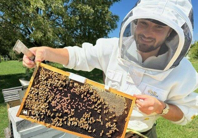 One project already activated under the new Catalysing Australia's Biosecurity initiative will use new technology to detect varroa mite on honeybees as they enter their hives. Photo supplied.