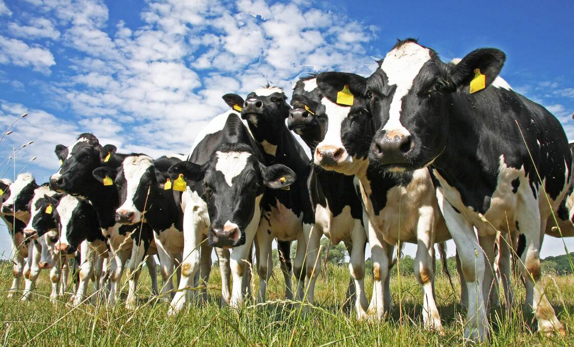 Dairy reform delay looms as industry criticises code of conduct