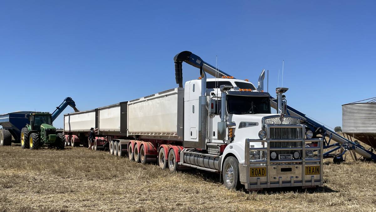 Big jump in national farm cash income for grain and livestock