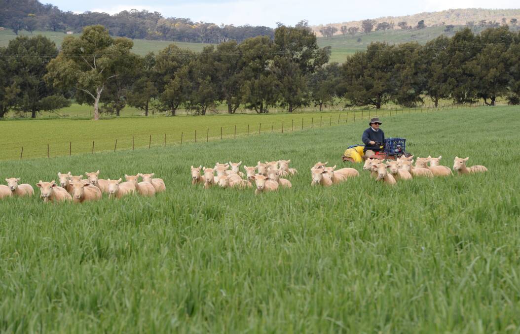 More than 230,000 commercial farm transactions accounted for 278 million hectares of farmland sold Australia-wide in 2016, worth a combined value of $132 billion.