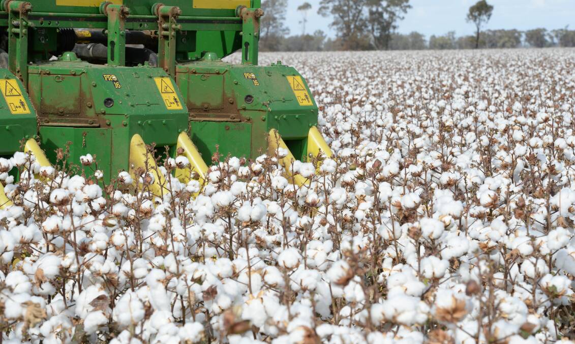 Namoi Cotton's current capital unit holders and grower members are yet to vote on the co-op’s conversion to a fully listed public company by but meetings in the eight cotton growing regions serviced by Namoi have attracted supportive feedback.