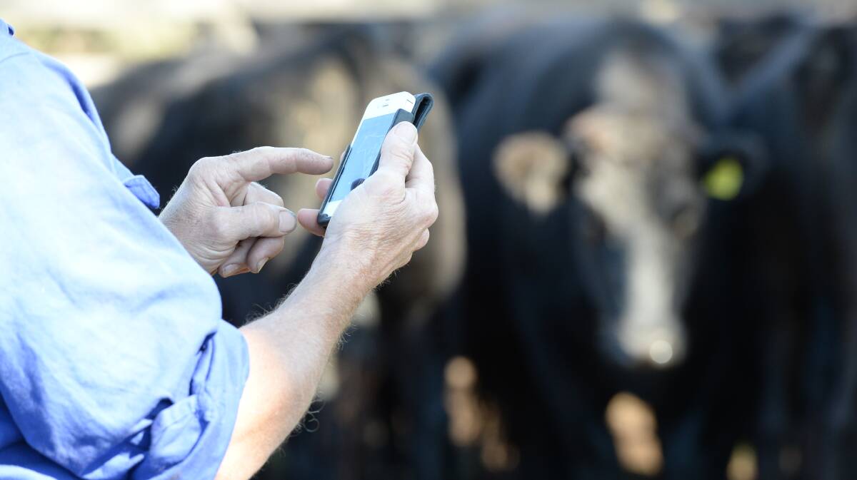 The Farming Team will help set up and training farmers using an integrated ecosystem of smartphone applications 