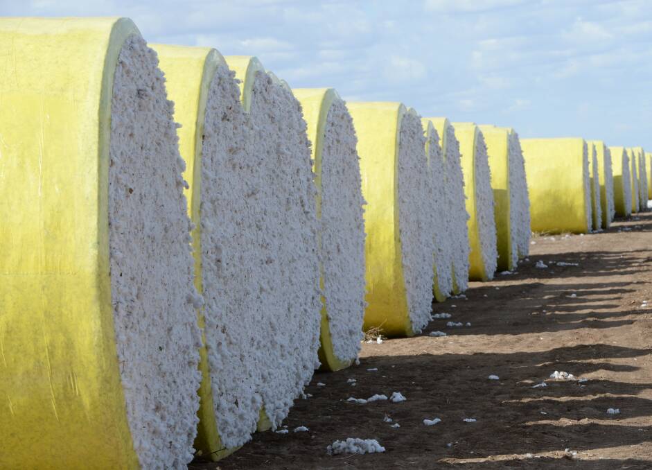 Aff Expands Again With 100m Cotton Farm Buy Farm Online Australia