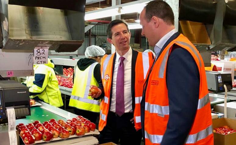 Trade Minister Simon Birmingham at an Australian fruit export packing plant.