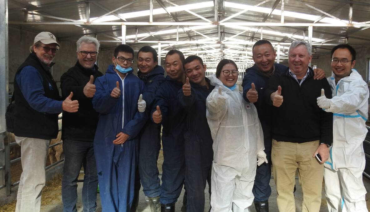 Apiam and Gansu team members at the breeding centre in China, including Dr Kev Sullivan (far left), Dr David Osborn, and Russ Davis, representing Ceva Animal Health, an Apiam product supply partner to the project.
