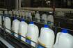 ACCC forces dairy processors to improve farmer contracts