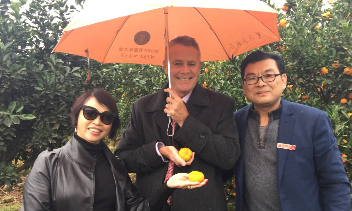 Bojun Agricultural Holdings chairman, Andrew Stoner, on a wet day inspection of the company's orchards in Jiangxi Province with Bojun founder, Dr Bo Zhu, and Australian consultant, Dr Caroline Hong.
