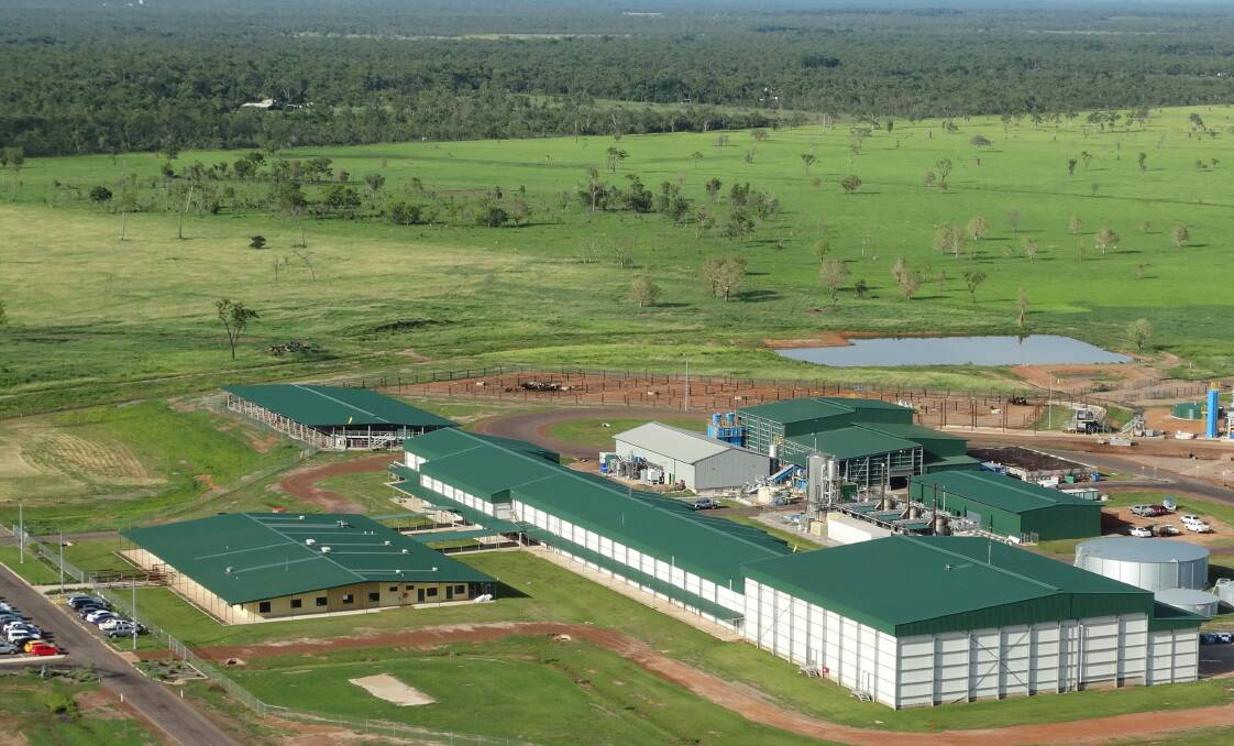 Australian Agricultural Company's Livingstone Beef abattoir.