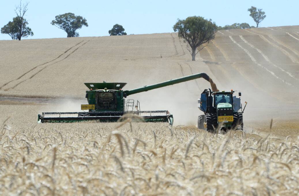 Annual crop, grazing farmland index returns hit 39pc