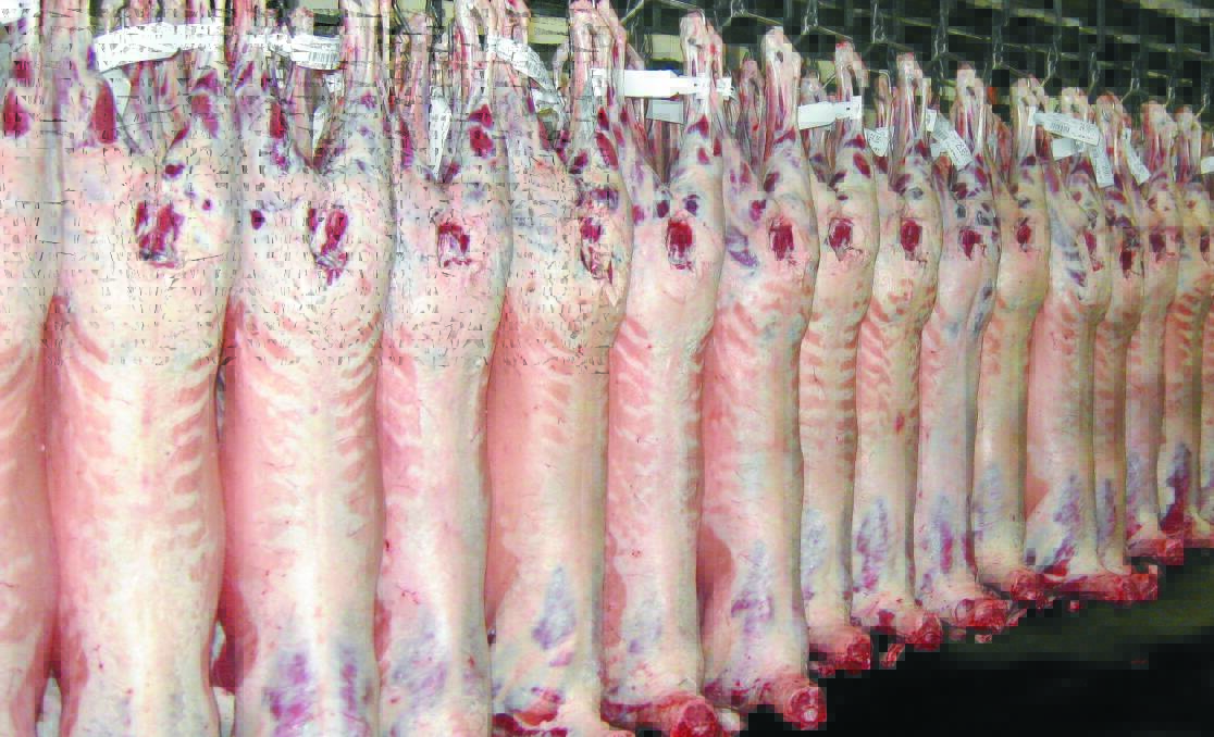 WAMMCO lamb carcasses at Katanning in WA
