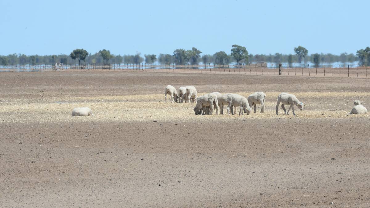 Seven years between 2010 and 2020 were accompanied by climate pressures which left Australian broadacre farmers averaging negative profits. File photo.