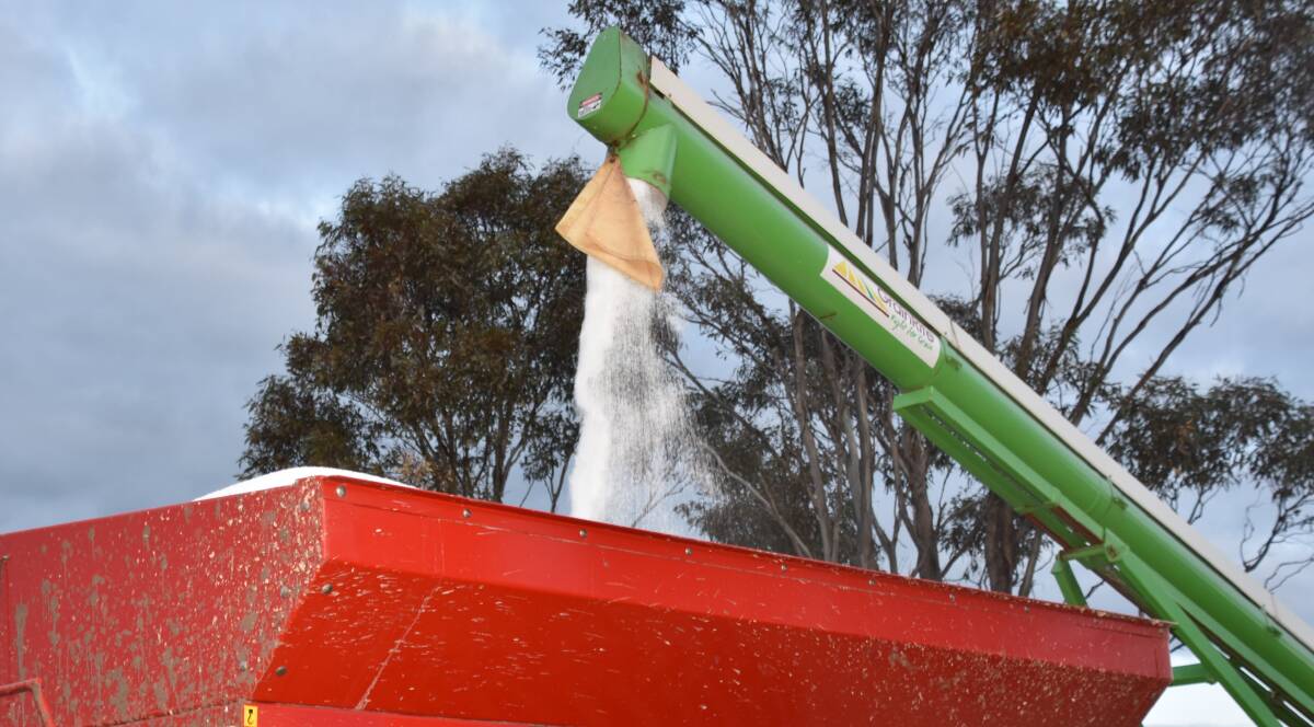 The ACCC found potentially unfair contract terms in fertiliser sale contracts. File photo