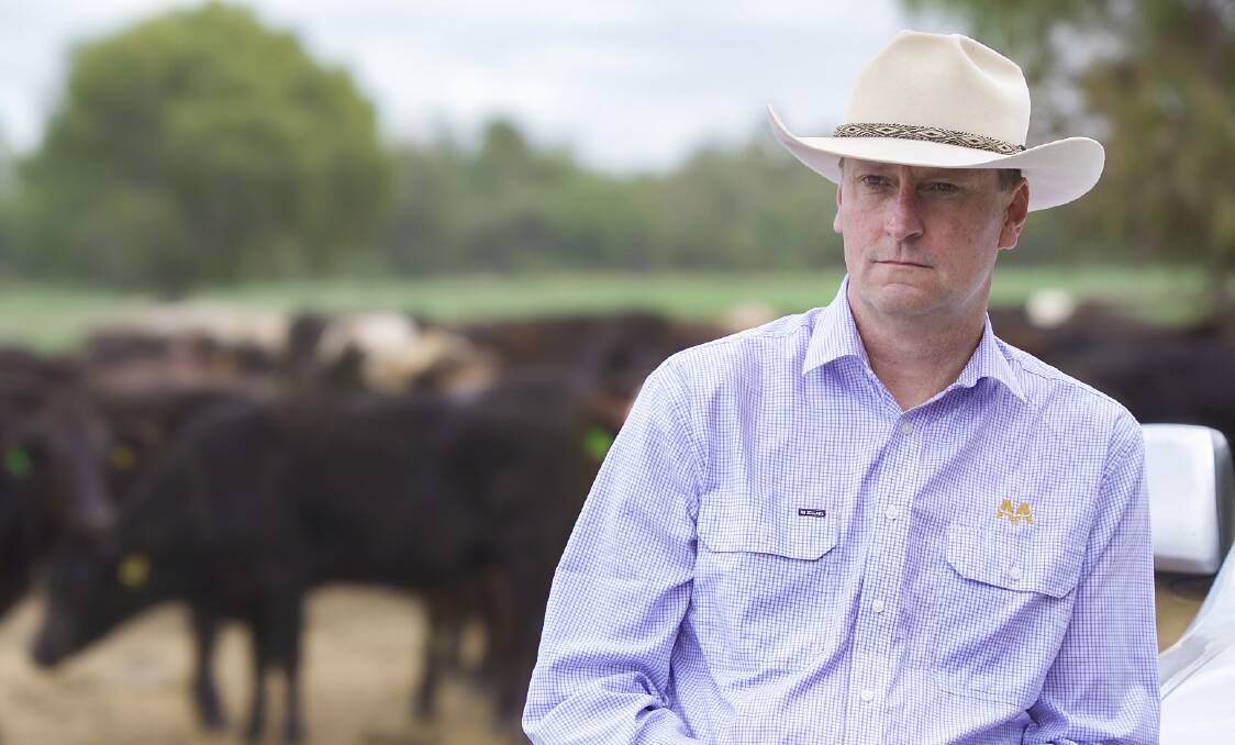 Australian Agricultural Company chief executive officer, Hugh Killen, has more work to invest in. 