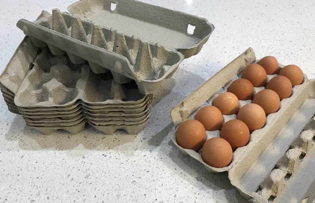 Carton shortage risk unlikely to leave shoppers scrambling for eggs