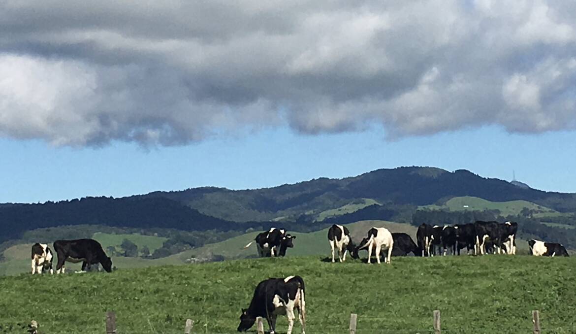 Booming NZ ag is feeling nervous as environmental regs loom