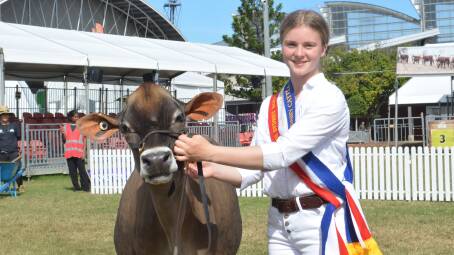 The champion dairy cattle parader Anna Dickson of Ferrum Illawarras and Spring Bank Jerseys and Holstein, Terang, Vic. 