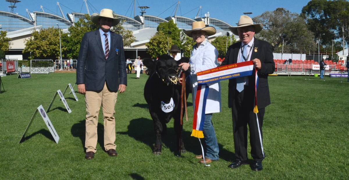 Scots All Saints College, Bathurst exhibited a lightweight Limousin steer that won champion on both the hoof and the hook. 