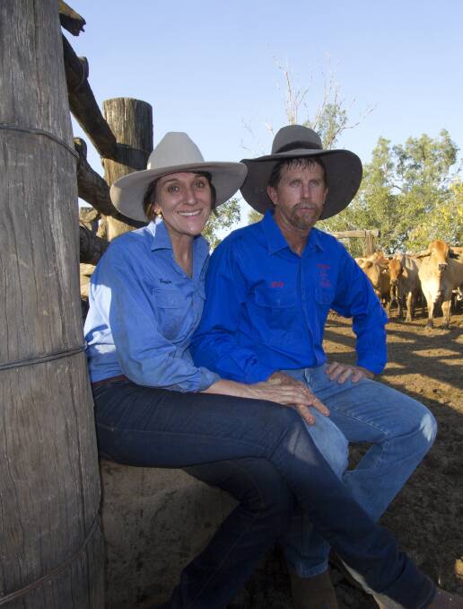 New Chapter: Brahmans are playing a pivotal role in Billy and Louise Dunne's organic cattle operation at Dingo.