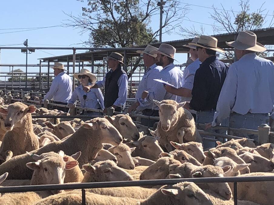 AT THE RAIL: Livestock agents will continue to trade at Wagga Livestock Marketing Centre. Picture: Nikki Reynolds
