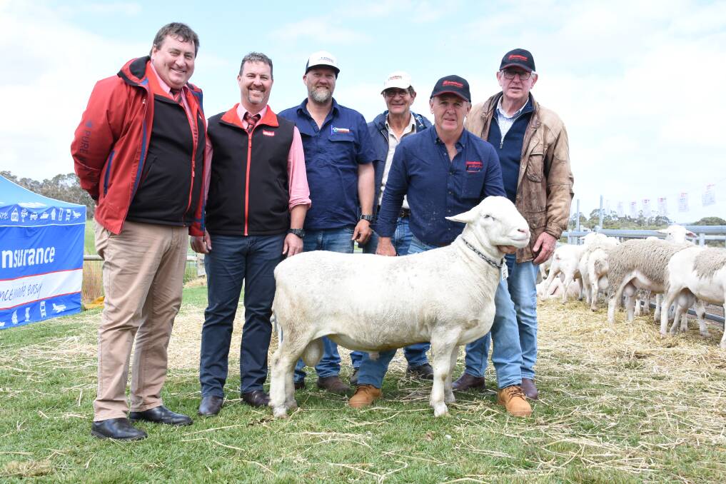 The second top price in last week's National SheepMaster ram sale at Elleker was $85,000 for this ram from the SheepMaster parent stud, White Dog Lane, Elleker, which was purchased by the Blackwood stud, Boyup Brook in partnership with New South Wales-based studs Wild Oat, Beckom; Montarna, Arumpo and Janaree, Cobar. With the ram were Elders stud stock manager Tim Spicer (left), Elders stud stock auctioneer Nathan King, buyers Phil Corker and Martin Bleechmore, Blackwood stud and White Dog Lane stud's Brian Prater and Neil Garnett.