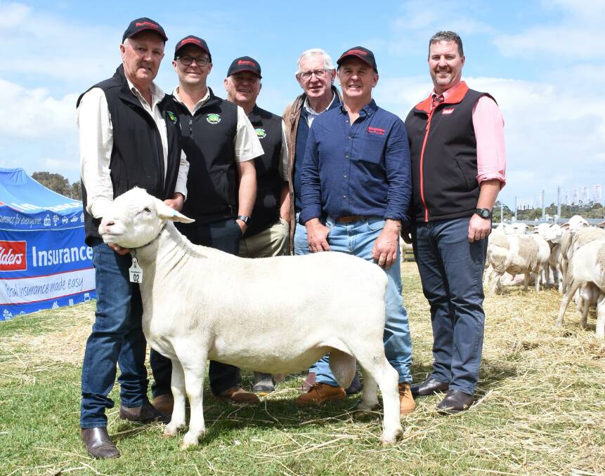 Prices hit a top of $90,000 for this ram from the SheepMaster parent stud, White Dog Lane, Elleker, at last week's National SheepMaster ram sale at Elleker, making it the highest priced WA-bred ram of any breed sold at auction in WA since 1991, when it was sold to the Reed and Crabb family, Rainbows Rest stud, Dongara and Walkaway. With the ram were buyers Geoff Crabb (left) and Tristan and Des Reed, White Dog Lane stud's Neil Garnett and Brian Prater and Elders auctioneer Nathan King.