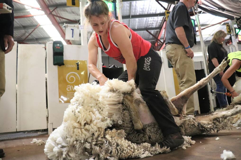 Shearing at the 2021 Perth Royal Show where she took out second place in the intermediate shearing final.