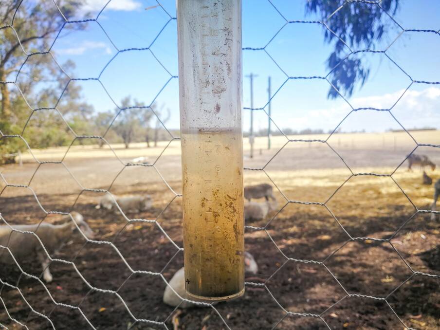 Scattered rainfall in the Wheatbelt early last week saw Haylee and Alanah Boxall's sheep farm at Arthur River receive 8mm. Photo by Haylee and Alanah Boxall, Arthur River.