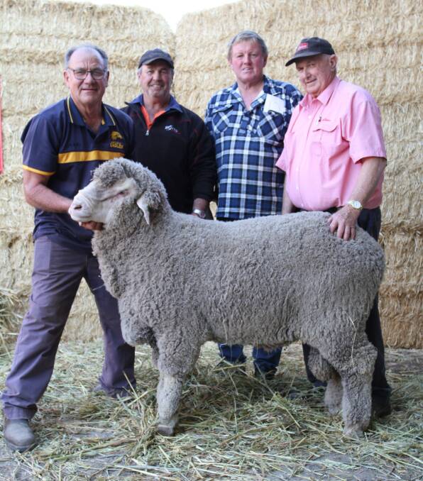  Cardiff stud principal Quentin Davies (left), top-priced Poll Merino ram buyers Terry Coleman, SG Coleman & Co, Cunderdin and Trevor Cosgrove, Roylands Farming, Shackelton and Elders Wyalkatchem wool and livestock agent Russell Wood with one of the $3000 equal top-priced Poll Merino rams at the Cardiff sale.