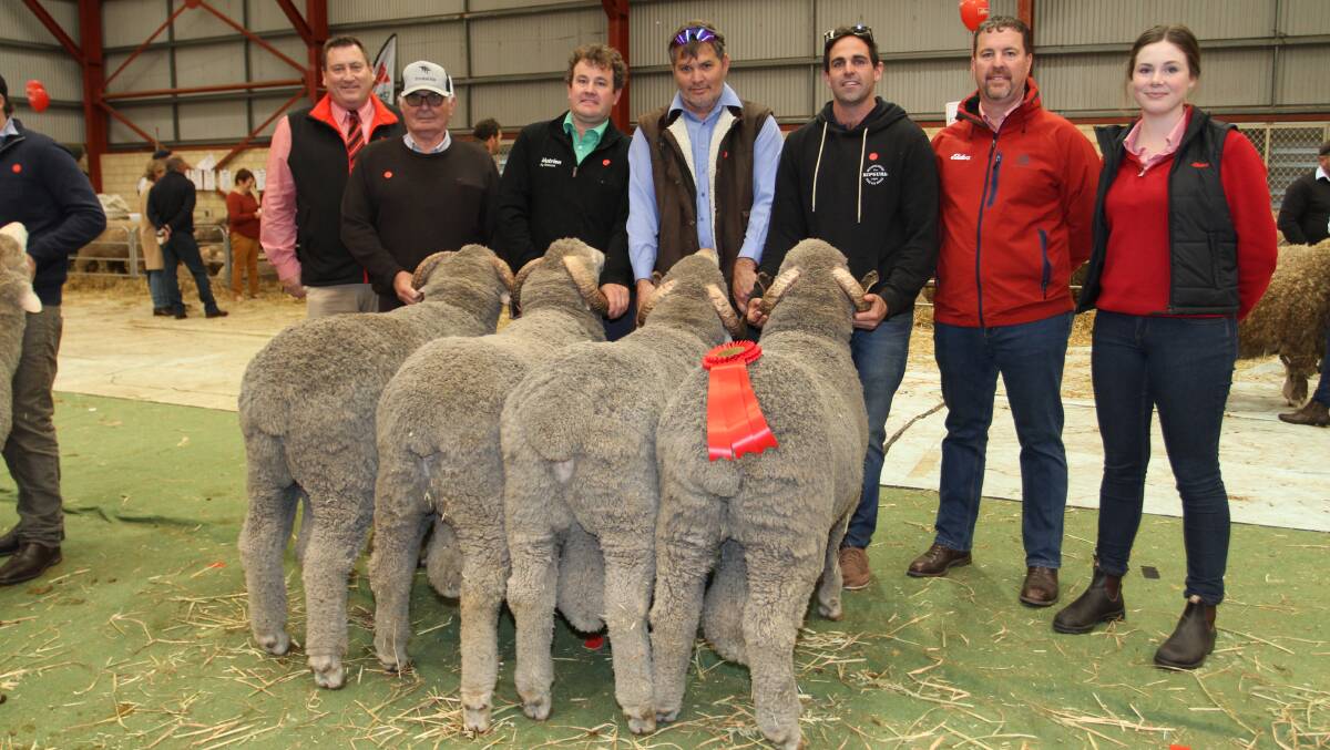 With the Navanvale stud's team of four Merino rams that placed second in the Elders Expo Four shorn after April 20 class were Elders stud stock manager Tim Spicer (left), Dennis Haddrick, Williams, Mitchell Crosby, Nutrien Livestock Breeding, Brendan Haddrick, Williams, Navanvale stud co-principal Mitch Hogg, Williams, Navanvale stud classer Nathan King, Elders stud stock and Elders trainee Alex Prowse.
