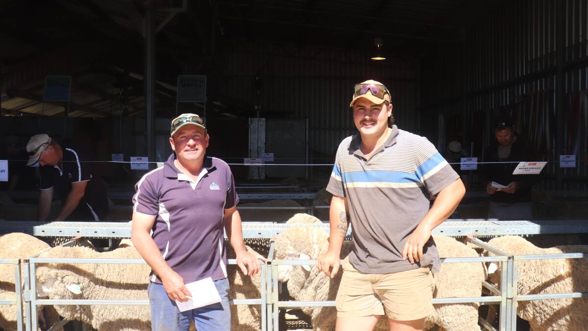 Paul Wanless (left), Muntadgin and Max Guiver, Muntadgin looking at the Belka Valley rams prior to the sale. Mr Wanless went on to be one of the volume buyers of the sale securing a total of eight rams.