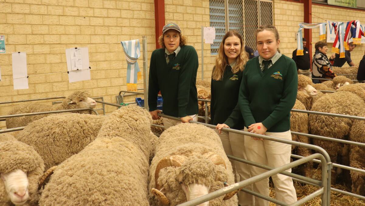  Harvey Ag Seb Omodei, Genevieve Holland and Willow Williamson with the Tilba Tilba rams during their sheep handling experience portion of the day.